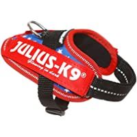 Los mejores  - JULIUS-K9 16IDC Power Harness